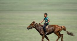 A Mongolian boy rides a horse across the steppe