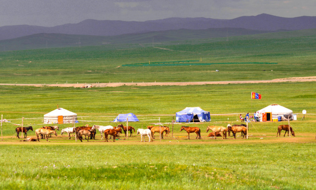 Regulatory Environment - Mongolia Business