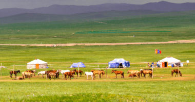Before horse racing during Naadam Festival