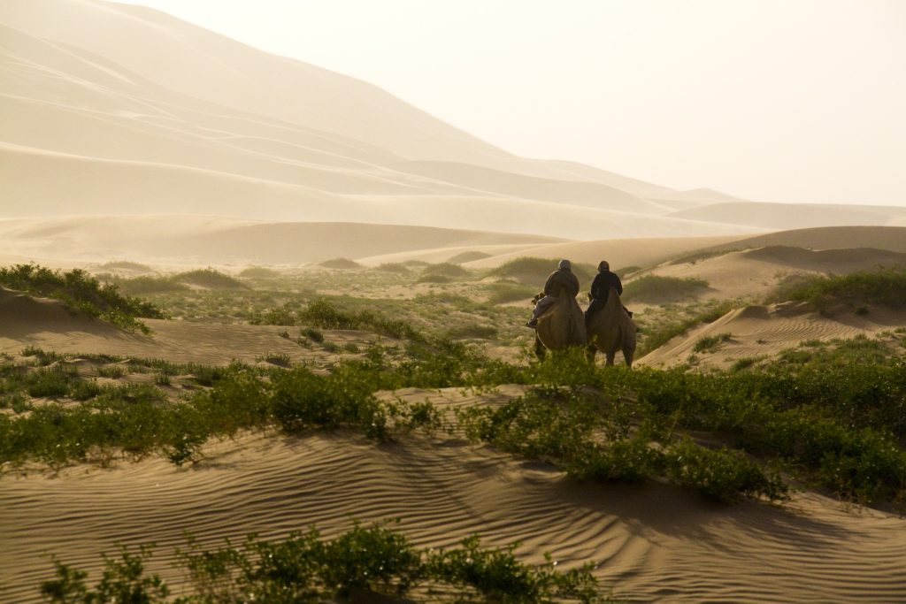 One third of Mongolia is the Gobi Desert