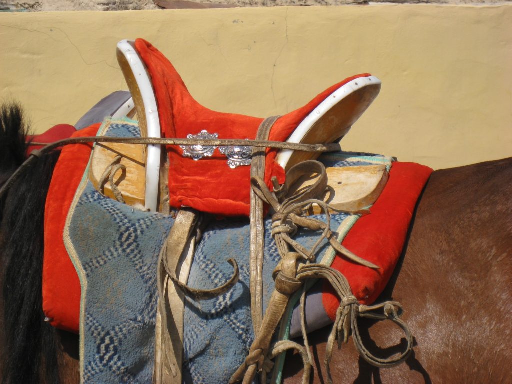 Buy Mongolian Saddle