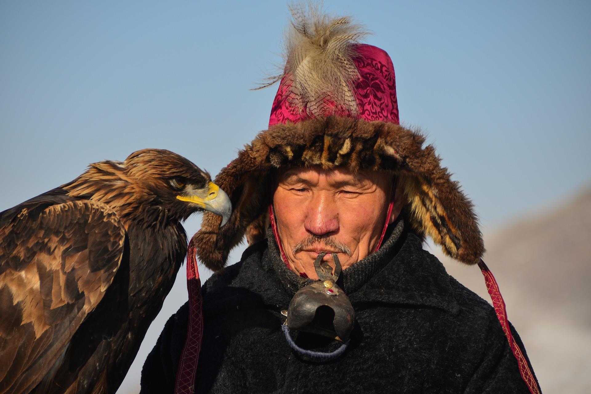 Mongolian Shepard With Herd Stock Photo Download Image Now Men ...