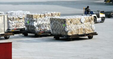 air cargo Mongolia